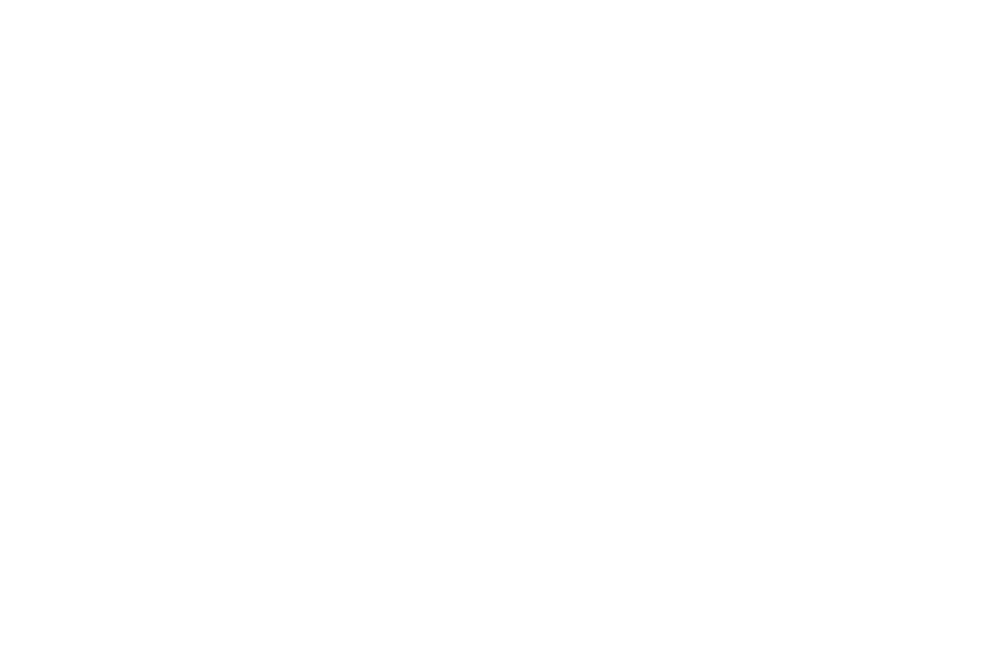 EK BMX Website Partner Team NL White