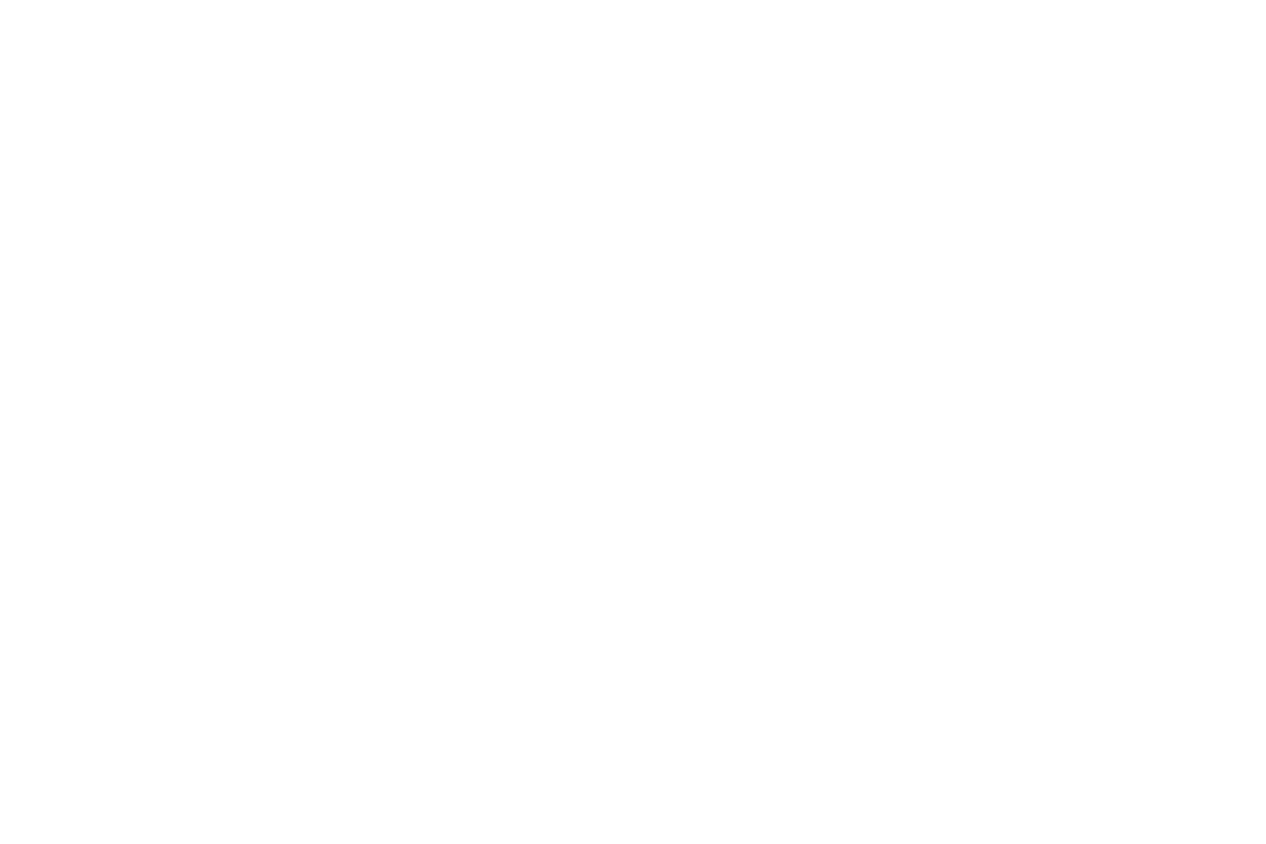 ZLM Tour Website partnerlogos LOGO INVICTA WIT