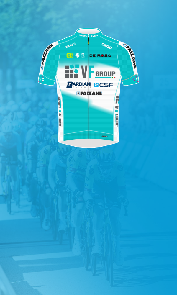 VF GROUP BARDIANI CSF FAIZANE