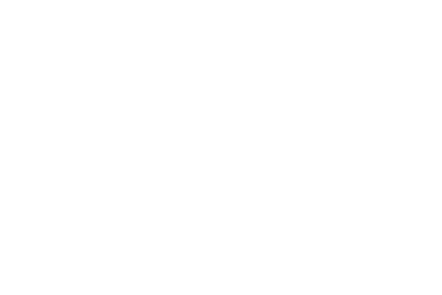 WK Baan Junioren Partner Vittoria White